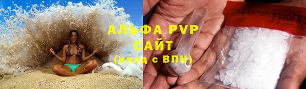 шишки Абаза