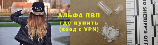 шишки Абаза