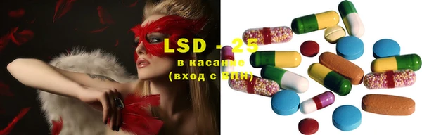 ПСИЛОЦИБИНОВЫЕ ГРИБЫ Алексин