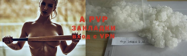 шишки Абаза
