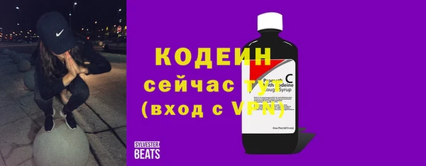 шишки Абаза