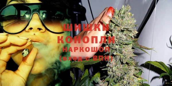 дживик Абинск