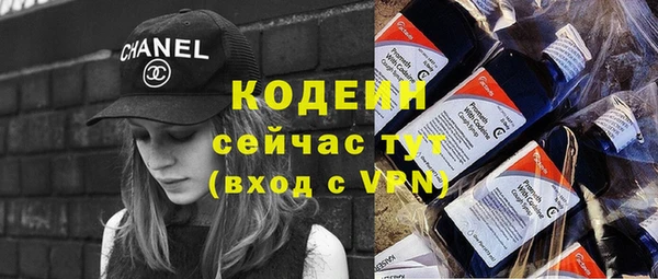 шишки Абаза
