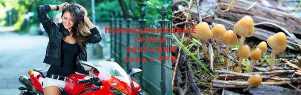 стафф Алексеевка