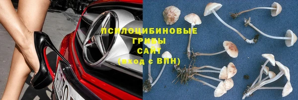 дживик Абинск