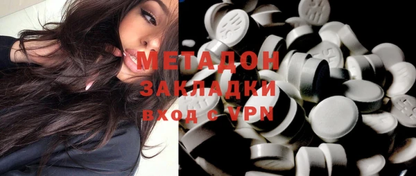шишки Абаза