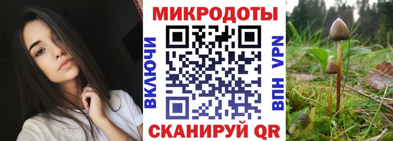 Галлюциногенные грибы Psilocybe  kraken ТОР  Советский  где найти  